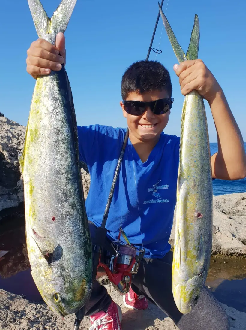 Young angler in a Fish Hunter shirt holding up two dolphinfish on the rocks